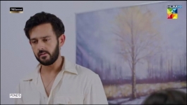 Meri Tanhai - Episode 24 - 23rd June 2025